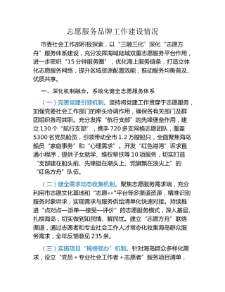 志愿服务品牌工作建设情况