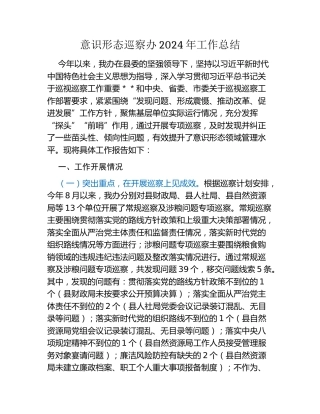 意识形态巡察办2024年工作总结