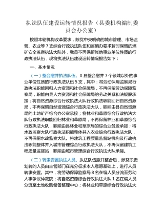 执法队伍建设运转情况报告(县委机构编制委员会办公室)