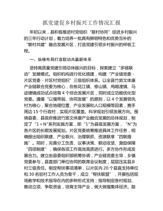 抓党建促乡村振兴工作情况汇报