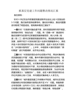 抓基层党建工作问题整改情况汇报