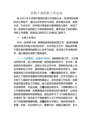 挂职干部挂职工作总结