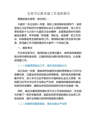 支部书记抓党建工作述职报告
