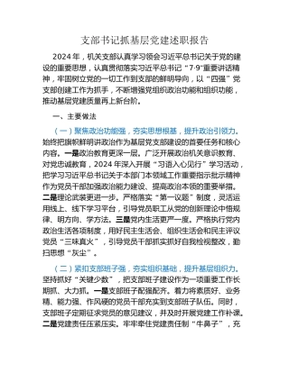 支部书记抓基层党建述职报告