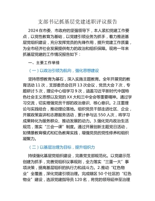 支部书记抓基层党建述职评议报告
