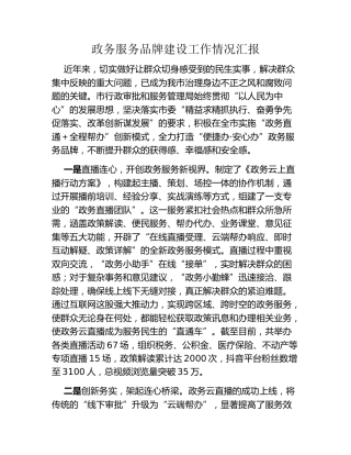 政务服务品牌建设工作情况汇报