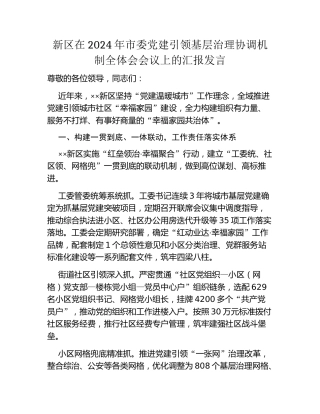 新区在2024年市委党建引领基层治理协调机制全体会会议上的汇报发言
