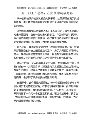 新干部工作感悟：在团队中绽放光彩