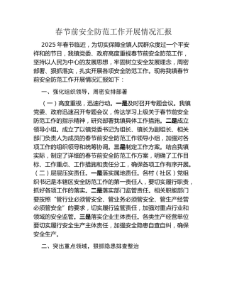 春节前安全防范工作开展情况汇报