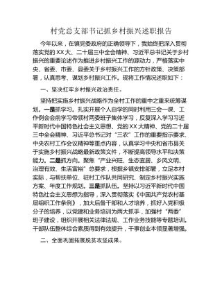 村党总支部书记抓乡村振兴述职报告