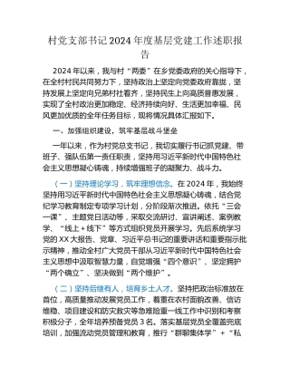 村党支部书记2024年度基层党建工作述职报告