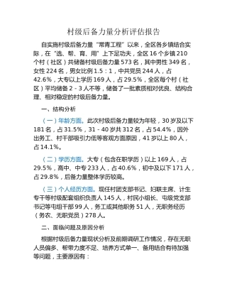 村级后备力量分析评估报告