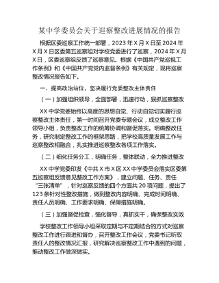 某中学委员会关于巡察整改进展情况的报告