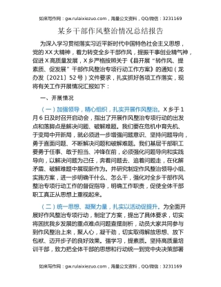 某乡干部作风整治情况总结报告
