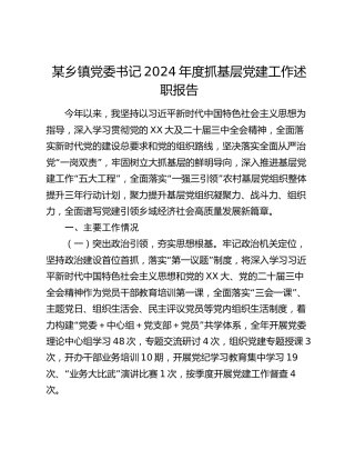 某乡镇党委书记2024年度抓基层党建工作述职报告