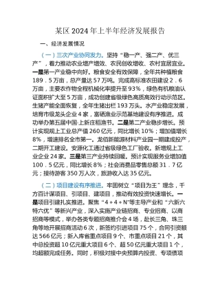 某区2024年上半年经济发展报告