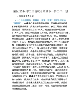 某区2024年工作情况总结及下一步工作计划