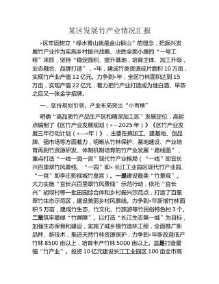 某区发展竹产业情况汇报