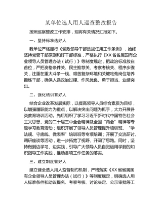 某单位选人用人巡查整改报告