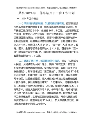 某县2024年工作总结及下一步工作计划