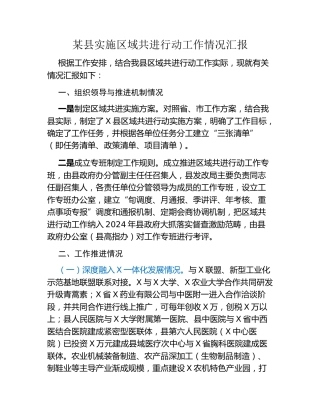 某县实施区域共进行动工作情况汇报