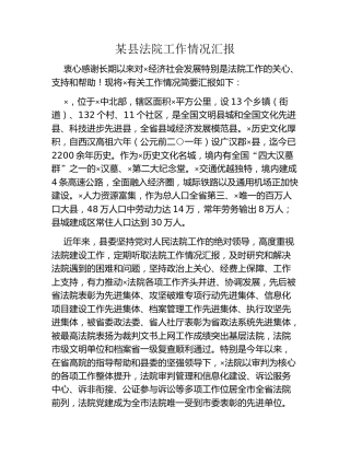 某县法院工作情况汇报