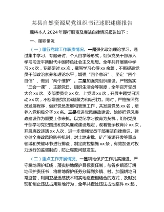 某县自然资源局党组织书记述职述廉报告