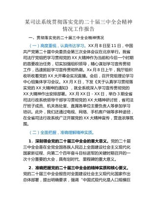 某司法系统贯彻落实党的二十届三中全会精神情况工作报告