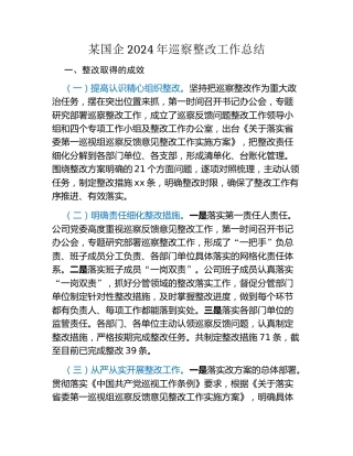 某国企2024年巡察整改工作总结