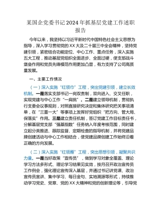 某国企党委书记2024年抓基层党建工作述职报告