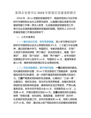 某国企党委书记2024年抓基层党建述职报告