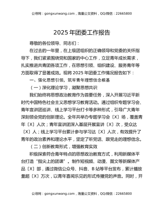 2025 年团委工作报告