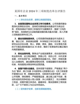 某国有企业2024年三项制度改革自评报告