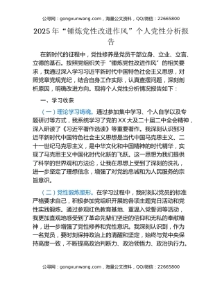 2025年“锤炼党性改进作风”个人党性分析报告