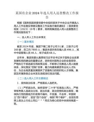 某国有企业2024年选人用人巡查整改工作报告