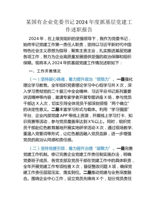 某国有企业党委书记2024年度抓基层党建工作述职报告