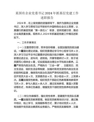 某国有企业党委书记2024年抓基层党建工作述职报告