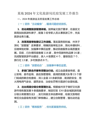 某地2024年文化旅游局民宿发展工作报告