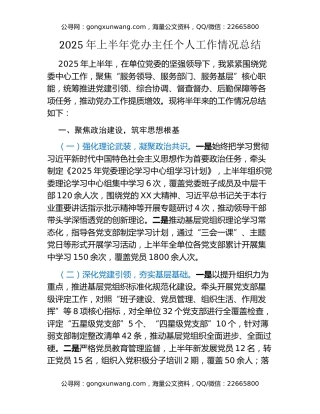 2025年上半年党办主任个人工作情况总结