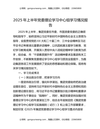 2025年上半年党委理论学习中心组学习情况报告