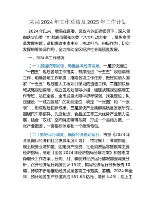 某局2024年工作总结及2025年工作计划