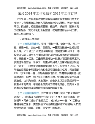 某局2024年工作总结和2025年工作打算