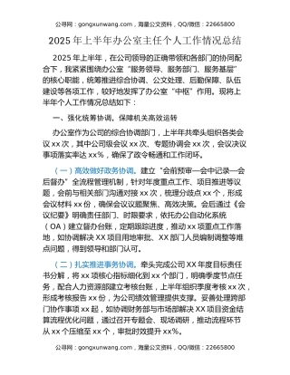 2025年上半年办公室主任个人工作情况总结