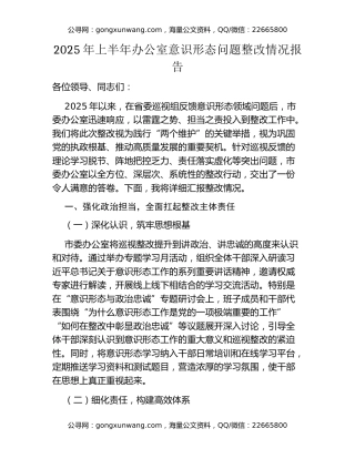 2025年上半年办公室意识形态问题整改情况报告