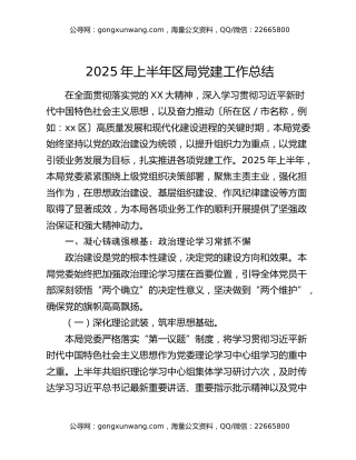 2025年上半年区局党建工作总结