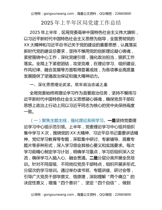 2025年上半年区局党建工作总结 (2)