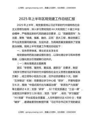 2025年上半年区局党建工作总结汇报
