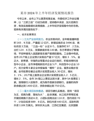 某市2024年上半年经济发展情况报告
