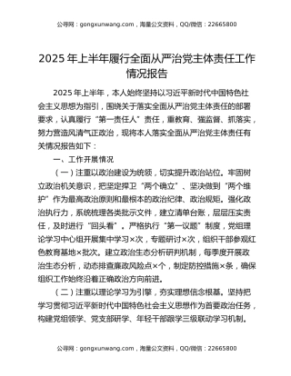 2025年上半年履行全面从严治党主体责任工作情况报告 (2)