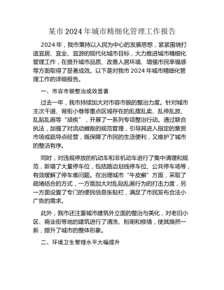 某市2024年城市精细化管理工作报告